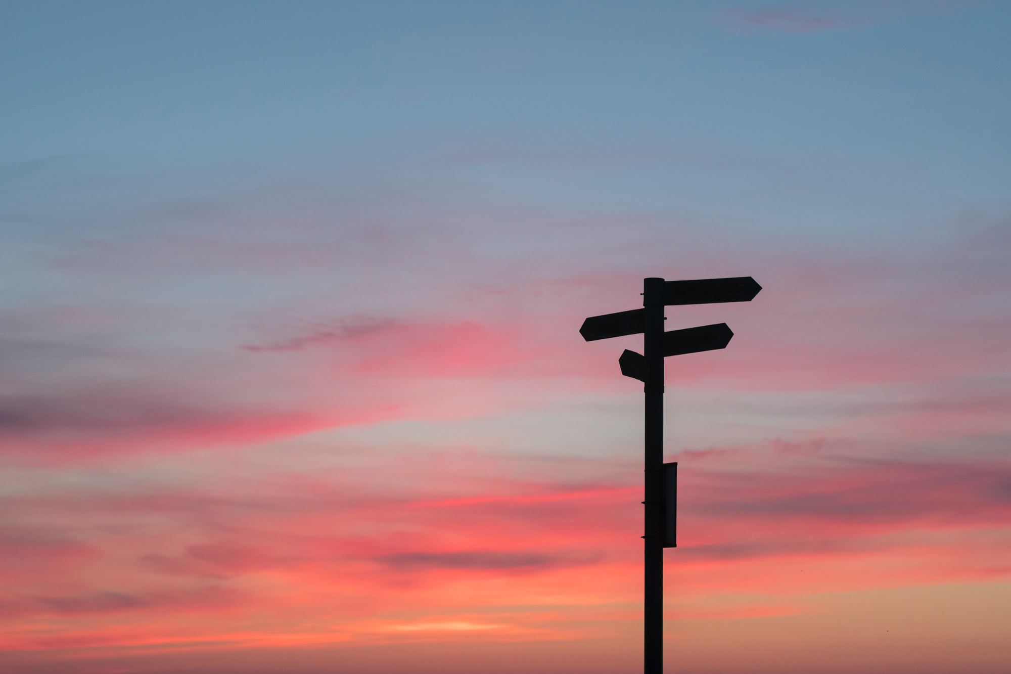 Customer Loyalty Theory And Decision Making