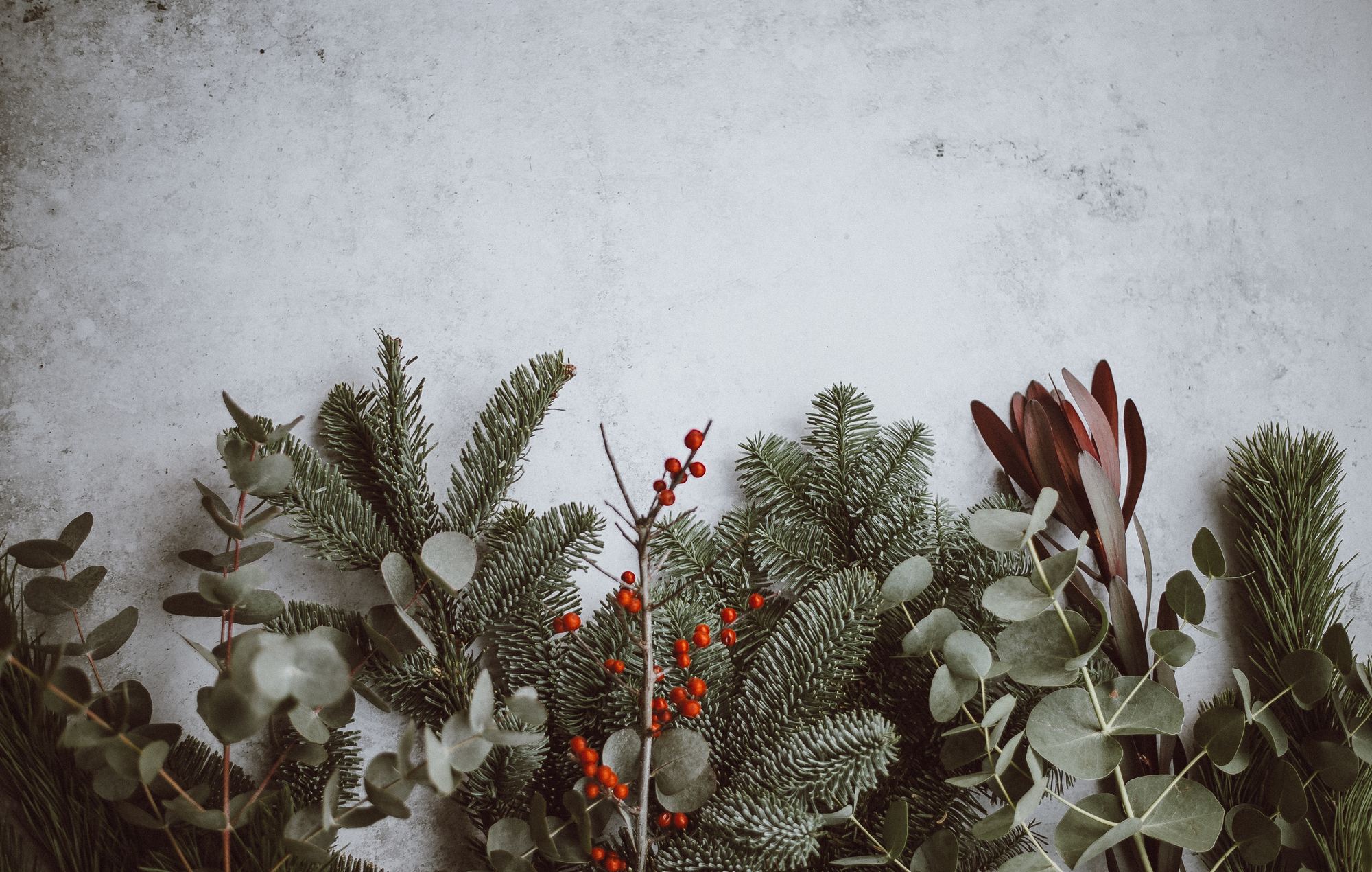 Annie Spratt Qko Op Gr9i Unsplash