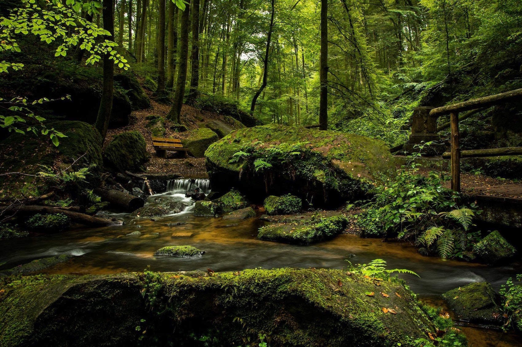 How to drive loyalty with sustainable commerce