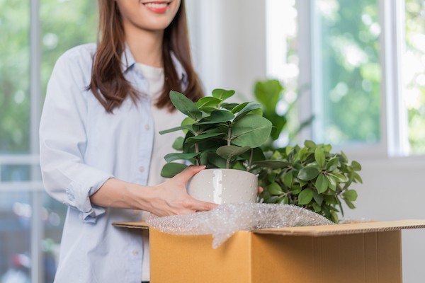 Home and garden loyalty programs