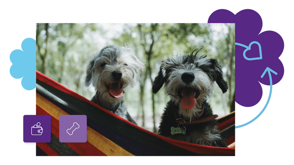 Treats for Tails: Unleash Loyalty in Pet Care with LoyaltyLion