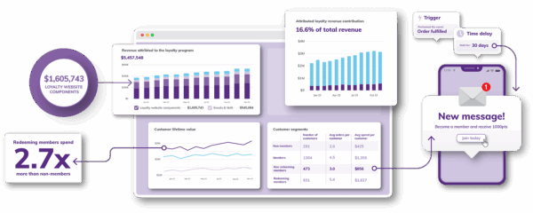 Loyaltylion Dashboard2 (1)